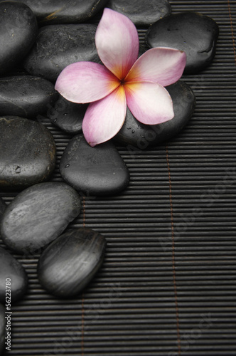 frangipani flower with stones on mat