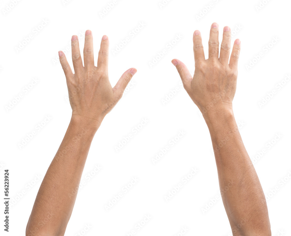 Man hands isolated on white background Man hands isolated on white background