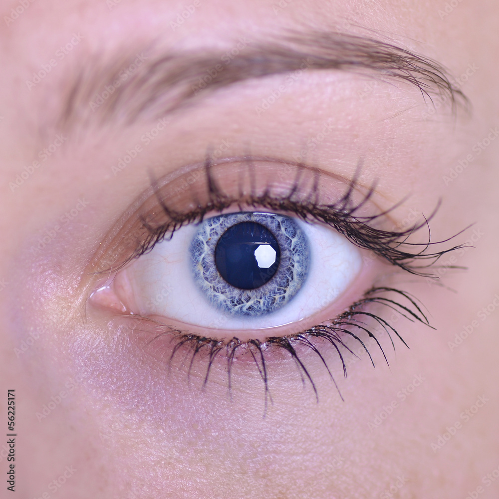 Obraz premium The eye