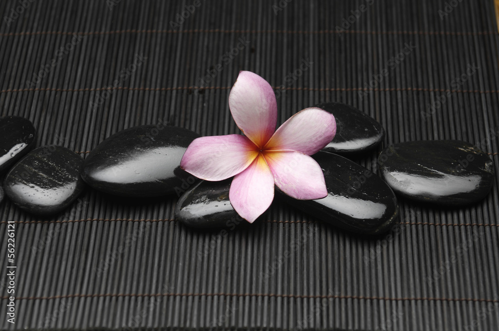 Spa life setting-frangipani with zen stones on mat Spa life setting-frangipani with zen stones on mat