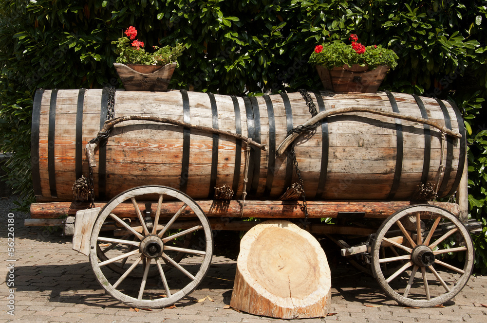 Wine Barrels in Aigle, Switzerland