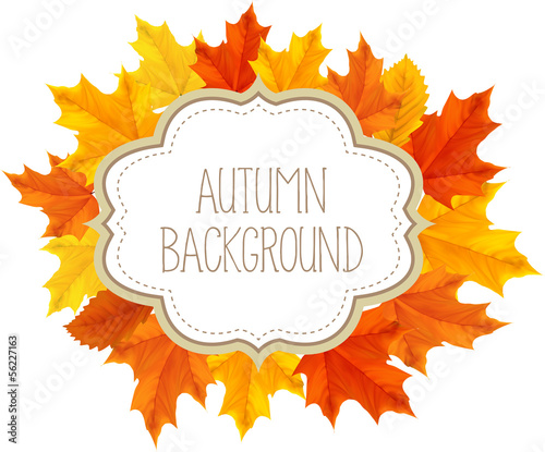 Autumn Background