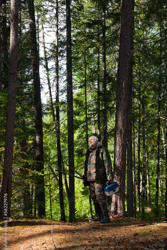 Mature man in pine forest