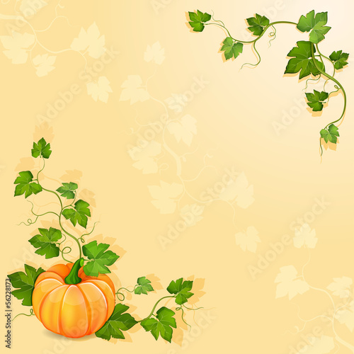 Illustration with orange pumpkin vegetable with green leaves