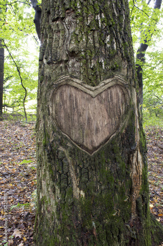 Heart wooden cut texture