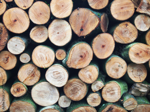 Timber background.
