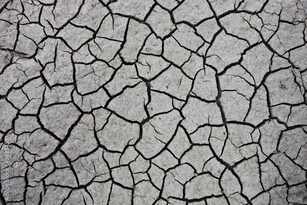 Fototapeta premium cracked clay ground into the dry season