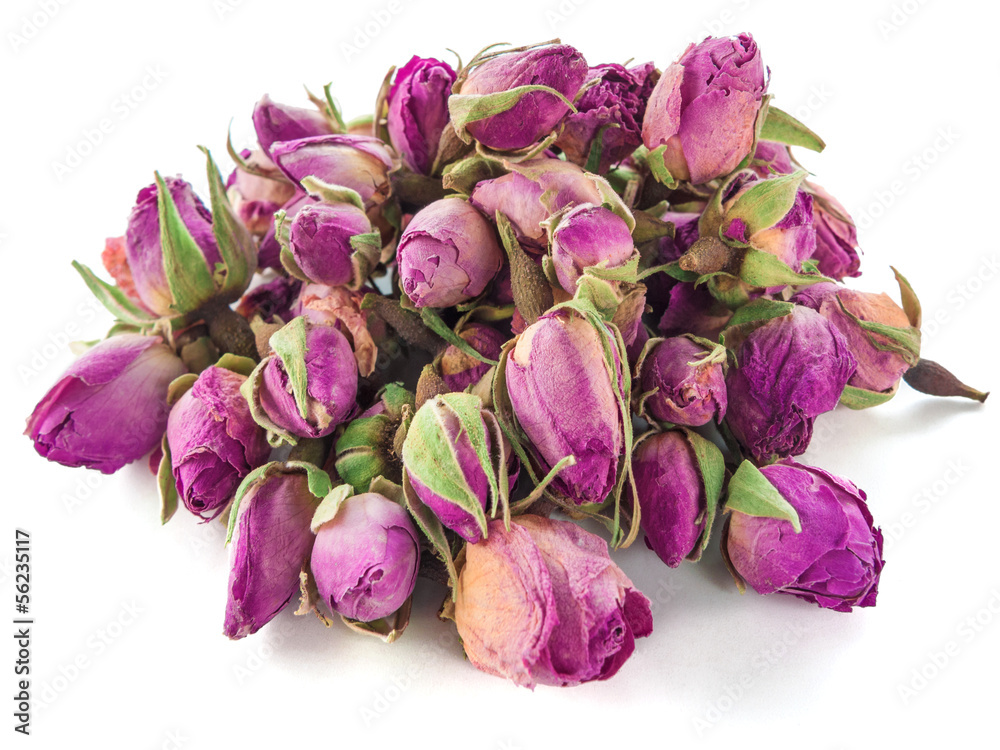 Rosenknospen Rosenknospen