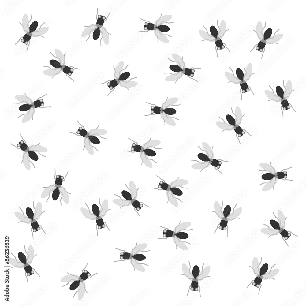 insect background insect background