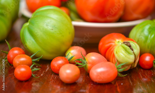 The tomato  Solanum lycopersicum 