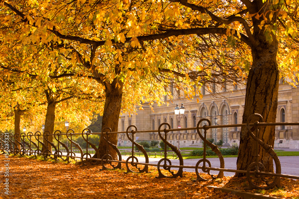 Naklejka premium Autunno nei parchi di Monaco, Germania