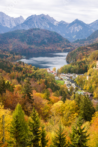 Boschi d autunno a Neuswanstein