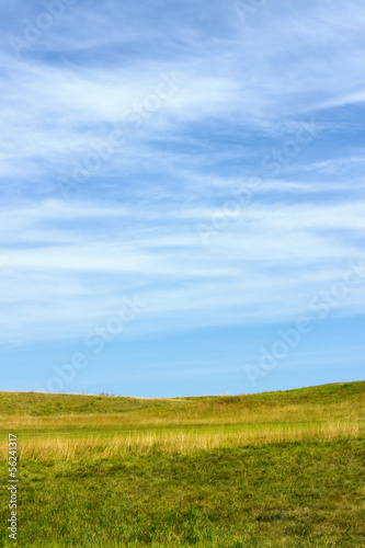 Green field landscape for nature backgrounds