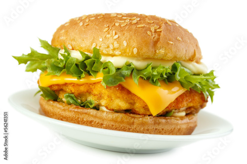 Fish burger with mayonnaise on dish