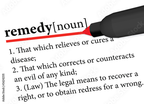 dictionary term of remedy