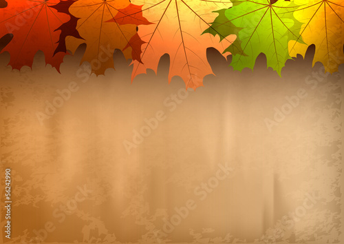 autumn background
