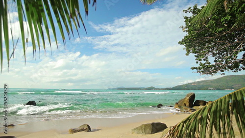 Deserted tropical beach with palm trees and small rocks