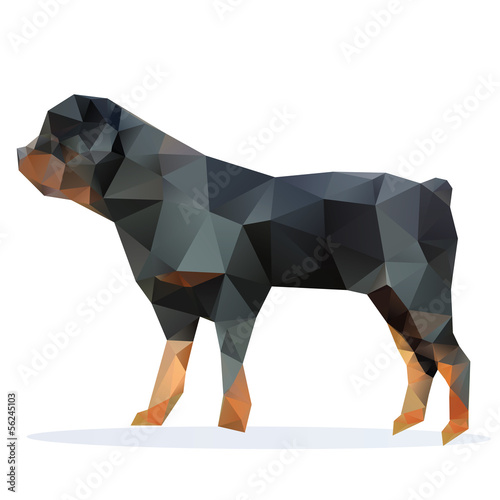 rottweiler, vector