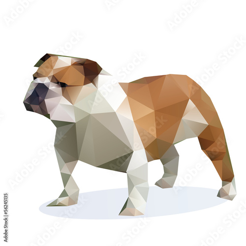 Vector Bulldog isolated on a white background