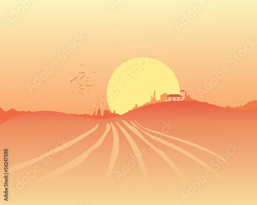 harvest scene