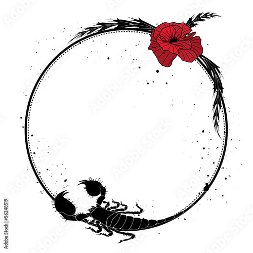 red poppy  and scorpion