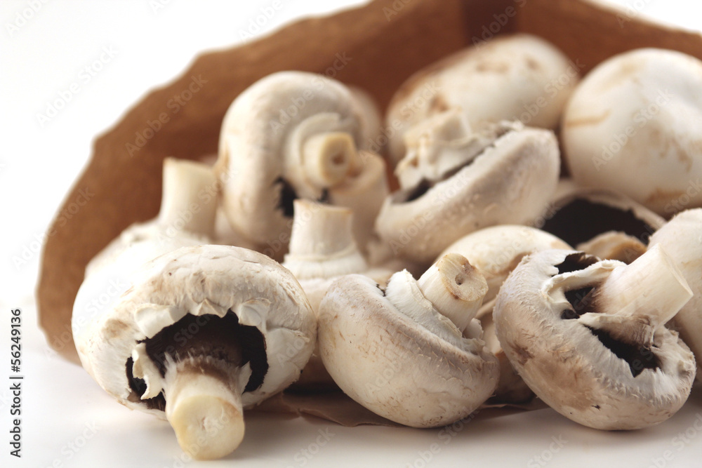 champignons champignons