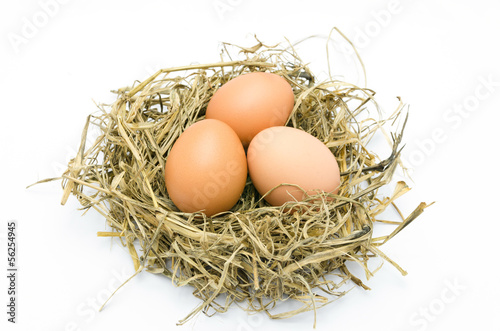 Brown eggs in a nest isolated on a white background