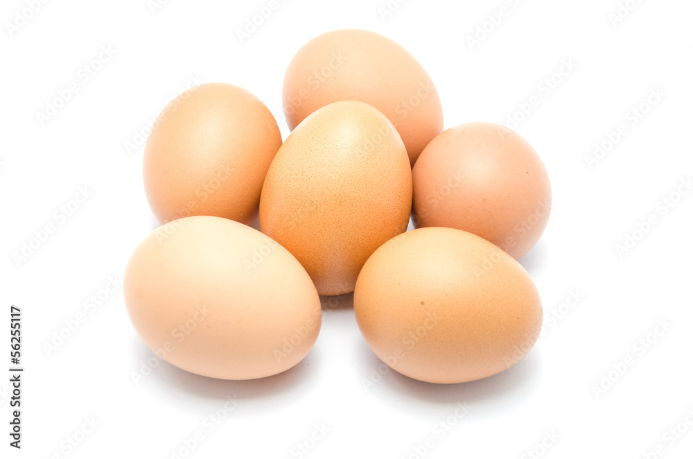 Close up of an egg isolated on white background Close up of an egg isolated on white background
