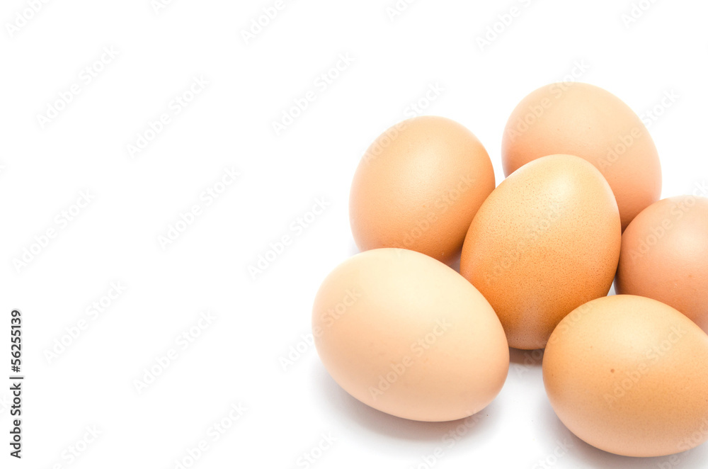 Close up of an egg isolated on white background Close up of an egg isolated on white background
