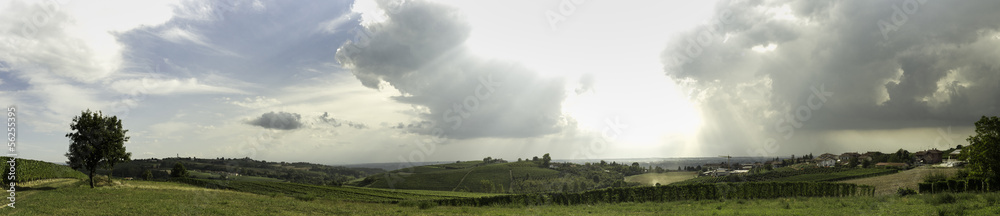 Fototapeta premium Panorama delle Langhe