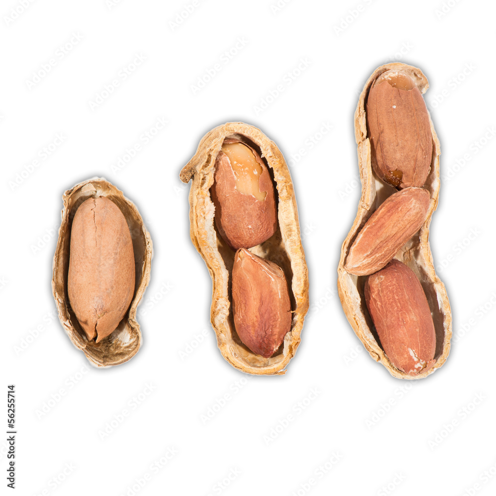 Peanuts isolated on white background Peanuts isolated on white background