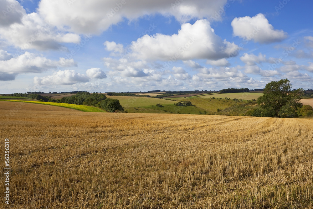 english agricultural landscape