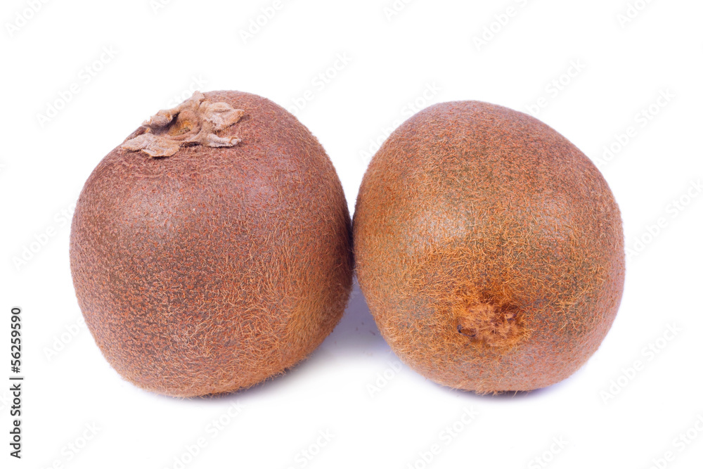 Kiwi Fruit Isolated on white background. Kiwi Fruit Isolated on white background.