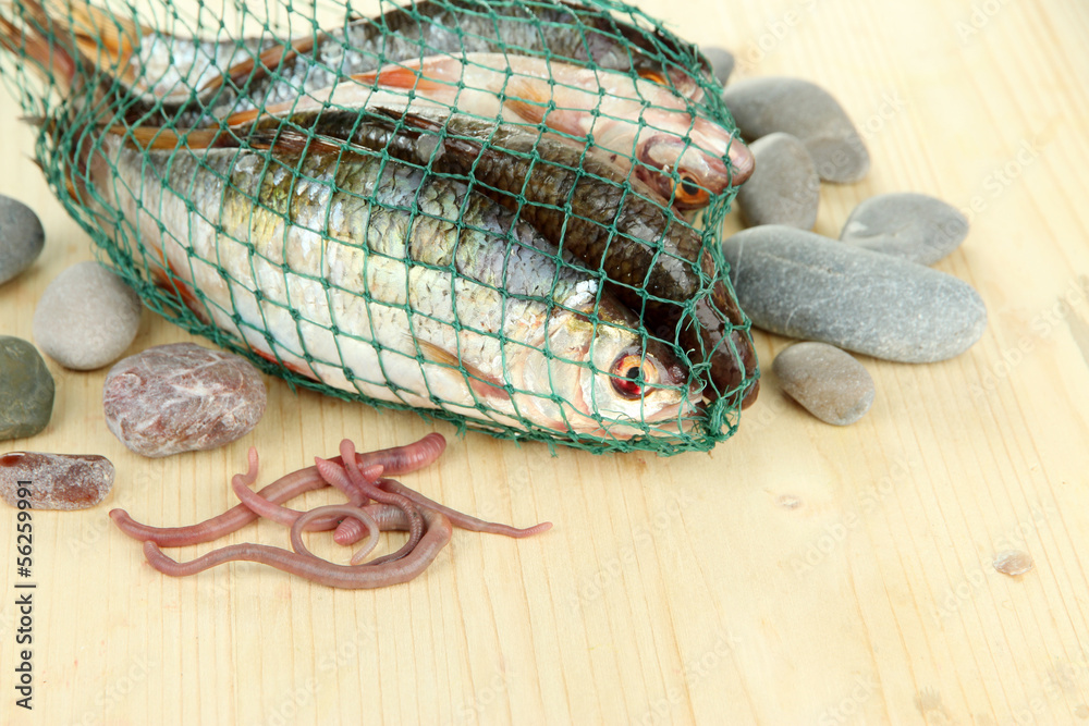 Fishes in fishing net on wooden background Fishes in fishing net on wooden background