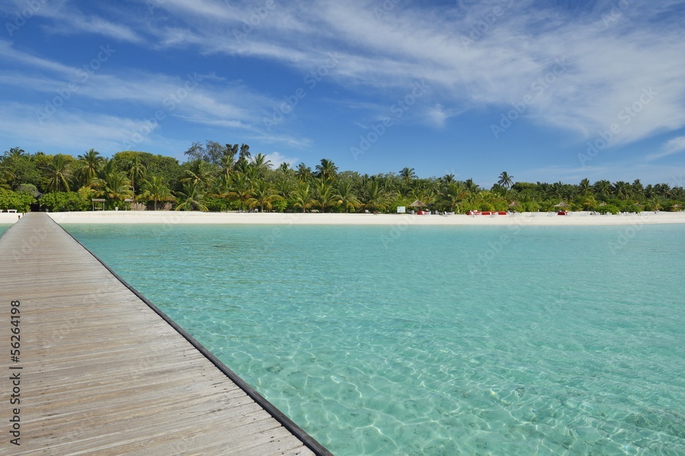 tropical beach landscape