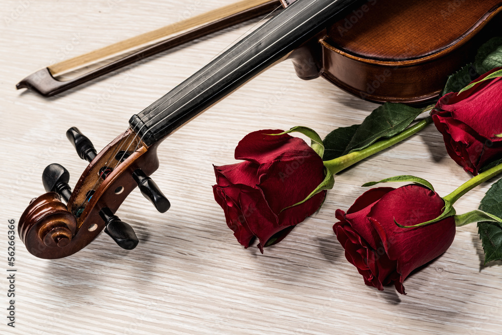 Fototapeta premium Violin, rose and music books