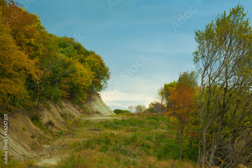 Fototapeta Naklejka Na Ścianę i Meble -  Autumn forest landscape