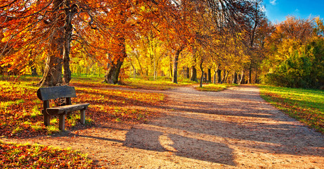 Wandcirkels Herfst Sfeervol herfsttafereel met gouden bladeren  © Horváth Botond