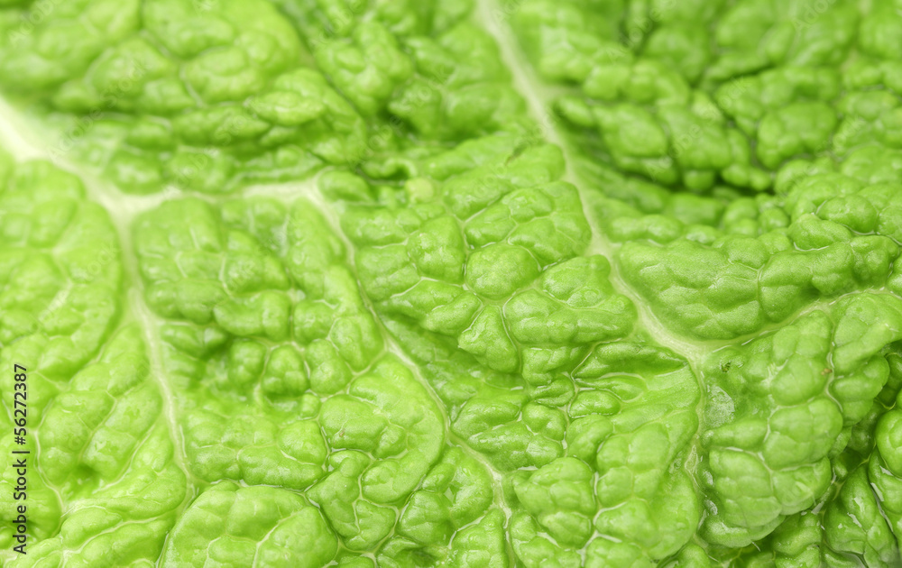 Obraz premium Background of green leaf chinese cabbage.