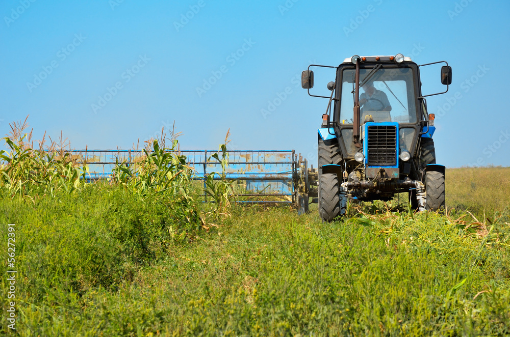 Old tractor mowing corn in the field closeup Old tractor mowing corn in the field closeup