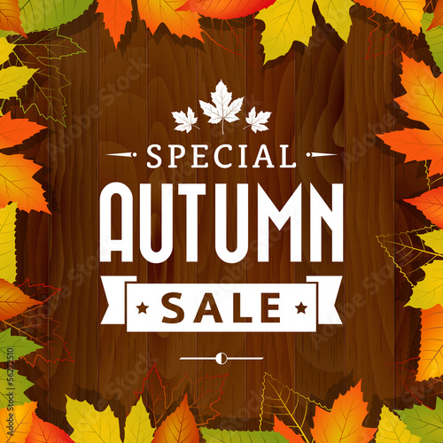 autumn special sale vintage  poster on wood background