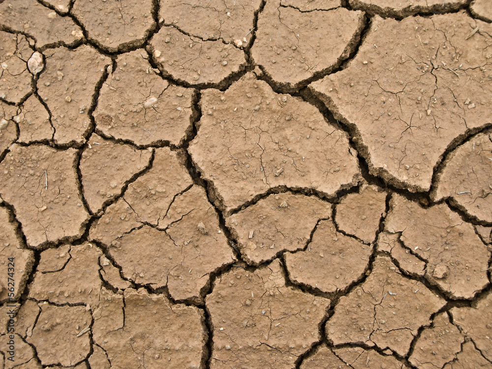 dried and cracked earth - global warming danger dried and cracked earth - global warming danger