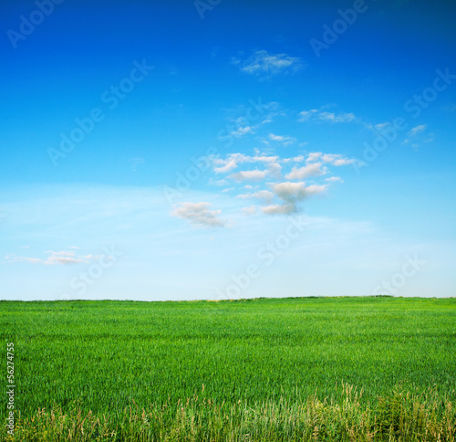 sky and fields