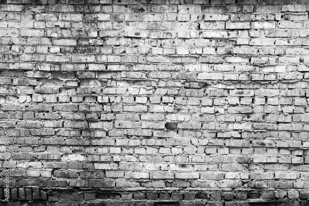 Fototapeta premium brick wall