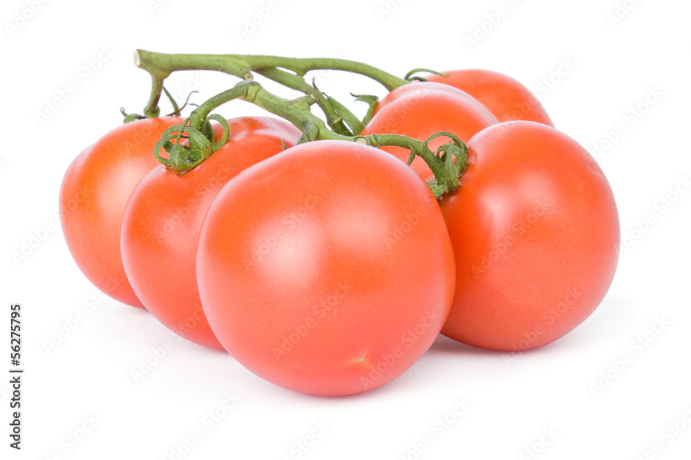 Ripe tomatoes isolated on a white background Ripe tomatoes isolated on a white background
