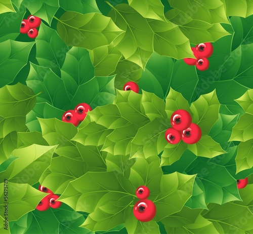 Holly seamless pattern. Vector. © mushakesa