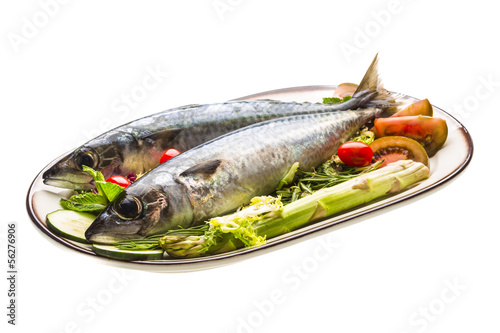 Atlantic raw sardine photo