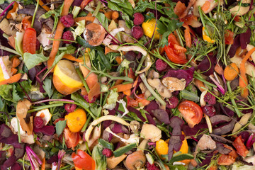 Pile of composting organic waste
