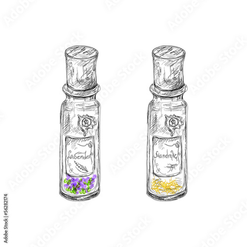 hand drawn apotechary flasks with mandrake root and lavender dri