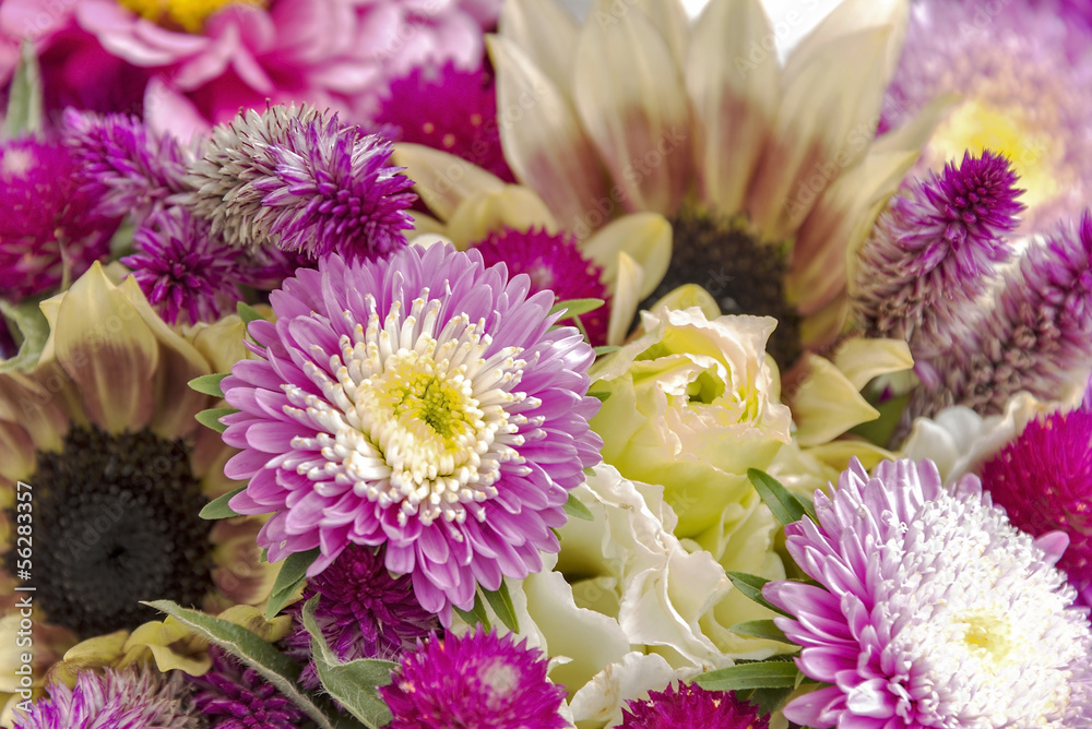 Close up of a fresh flower bouquet Close up of a fresh flower bouquet